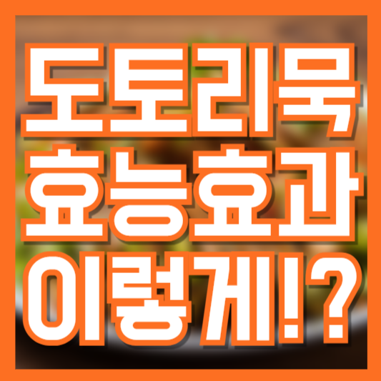  혈당조절에 좋은 도토리묵 효능 5가지! 이렇게 먹어야!?