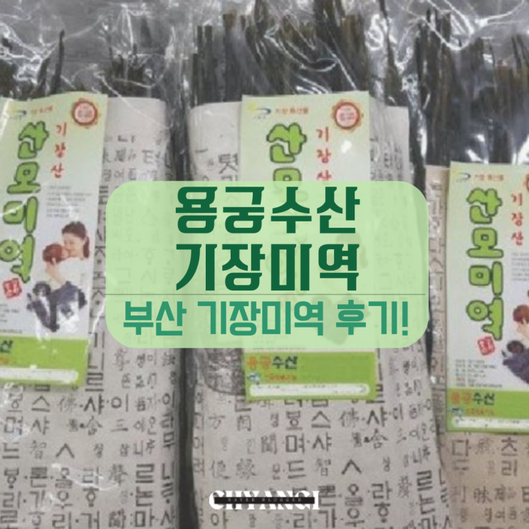  용궁수산 국산미역 부산 기장산모미역 산모에게 좋은 음식 소고기 미역국 끓이기