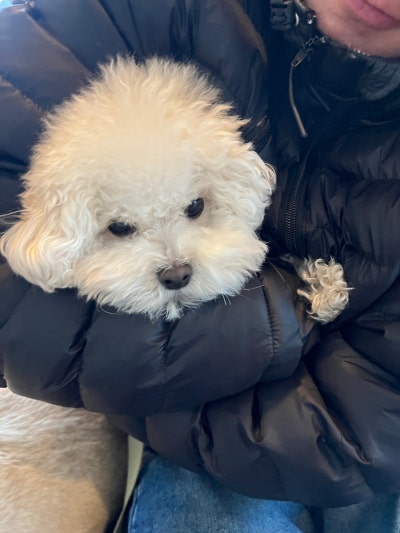 사진 9