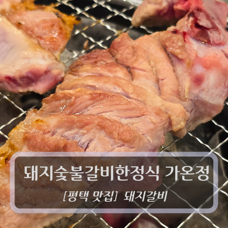  평택 맛집 :: 돼지숯불갈비한정식 가온정 - 평택고덕돼지갈비
