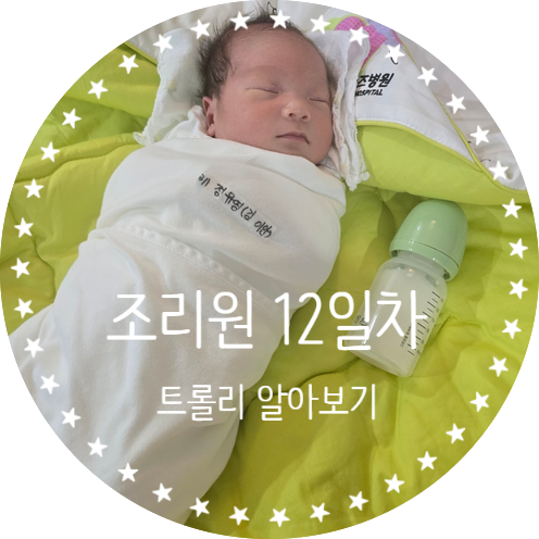  조리원 12일차 트롤리 알아보기
