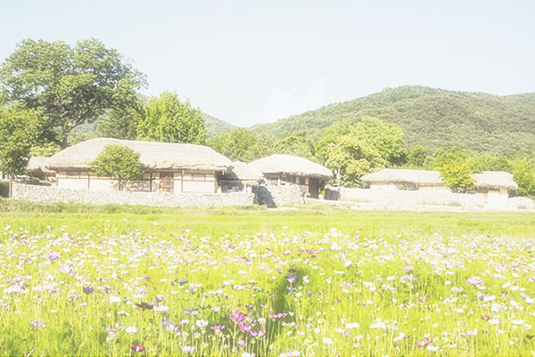 <b>싱크홀</b>의 위험성 적극적인 <b>대책 마련</b>