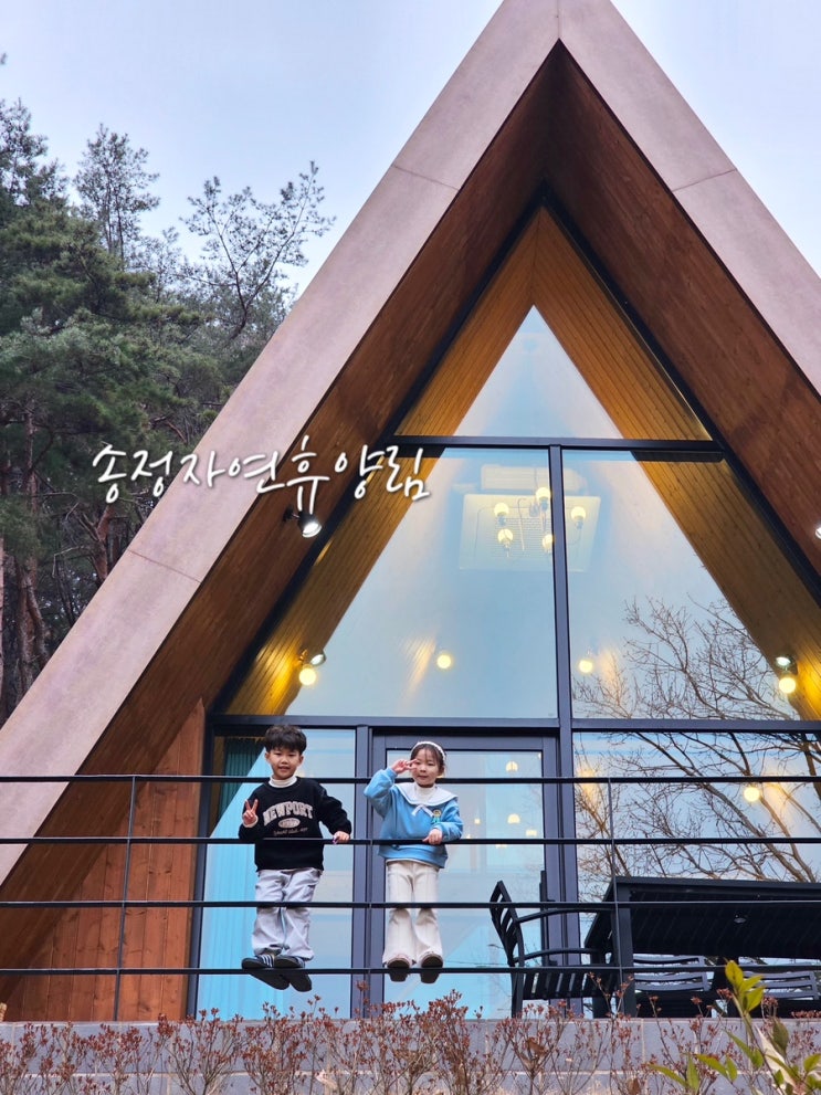  경북 칠곡 가볼만한곳 송정자연휴양림 숲속의집 느티나무
