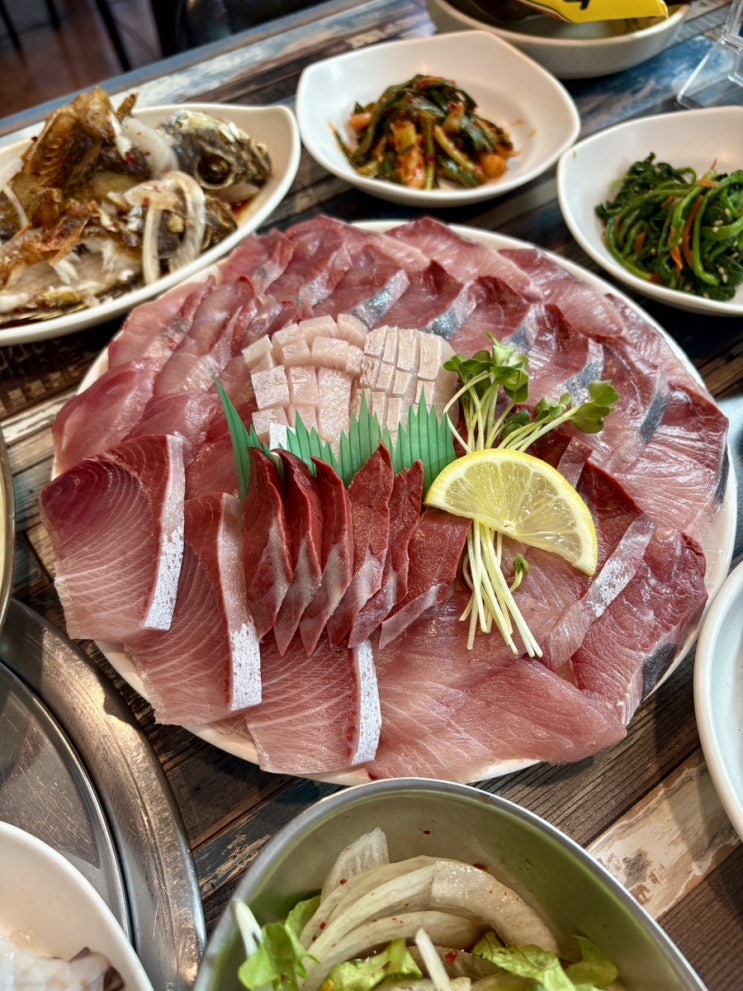  제주 고등어회 맛집 모슬포부두식당:) 대방어회 후기