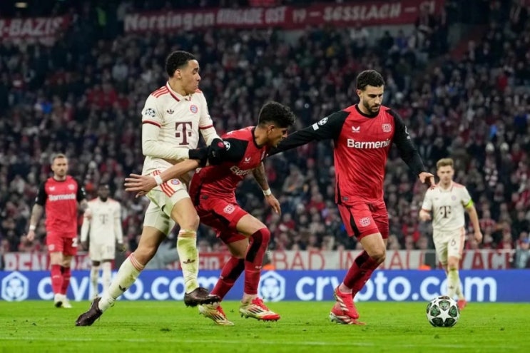 [<b>UCL</b>] ‘<b>김민재</b> 발목 부상 투혼+케인 멀티골’ <b>뮌헨</b>... 