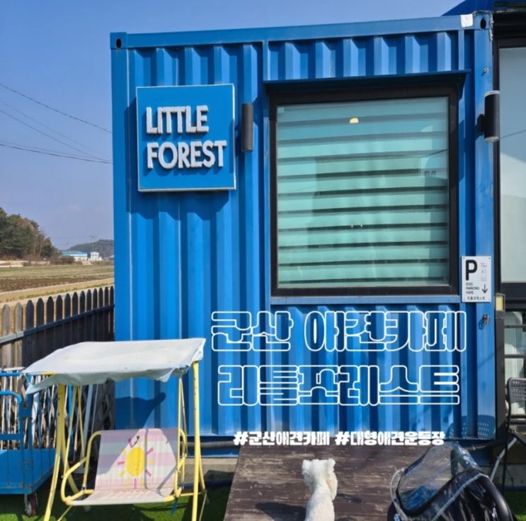  군산 대형애견카페 리틀포레스트/내돈내산