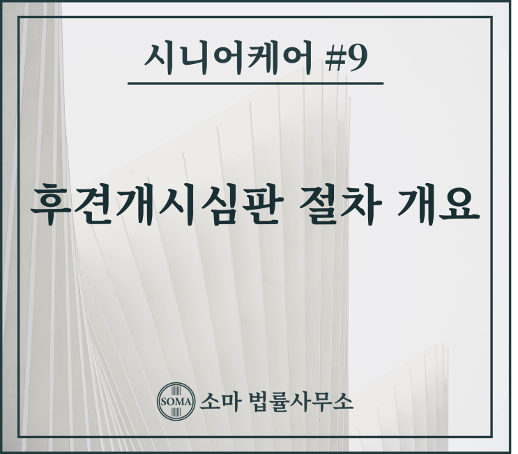  후견개시심판 절차 개요