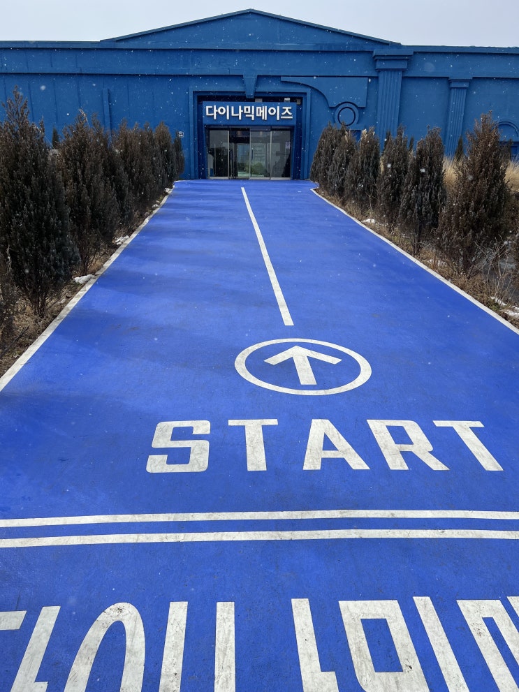  내돈내산 제주도 실내데이트 추천 다이나믹메이즈 다녀왔습니다.