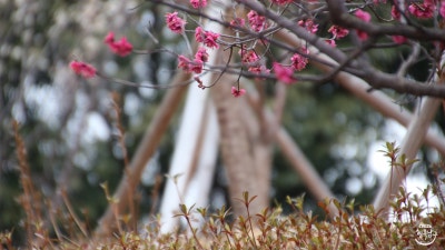 사진 5