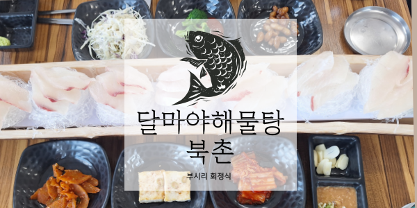 달마야해물탕 북촌 제주부시리회정식! 신선함이 살아있는 함덕해물탕맛집