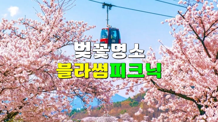 대구 벚꽃 명소 · 2025 이랜드 이월드 블라썸 피크닉 & 30주년 생일파티 (가장 빠른 벚꽃축제) 대구 벚꽃 명소 · 2025 이랜드 이월드 블라썸 피크닉 & 30주년 생일파티 (가장 빠른 벚꽃축제)