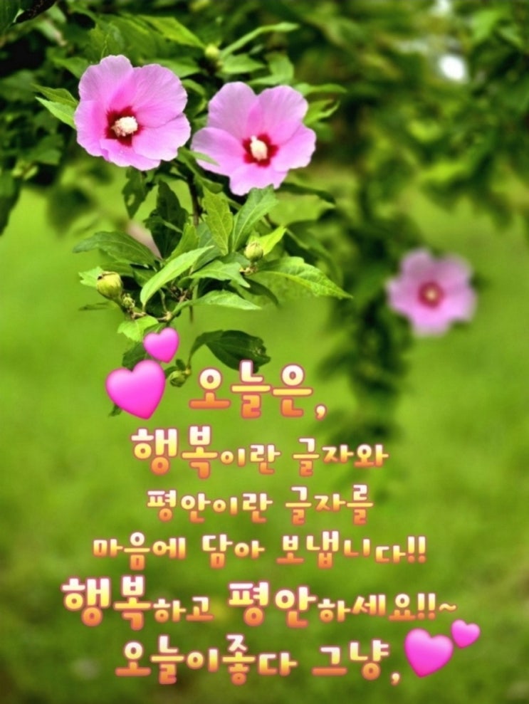 무엇이든 기대없이 좋아해 보세요.