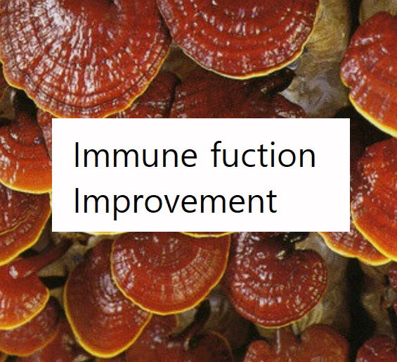  Immune function,  Ganoderma lucidium Mushroom Mycelia extract