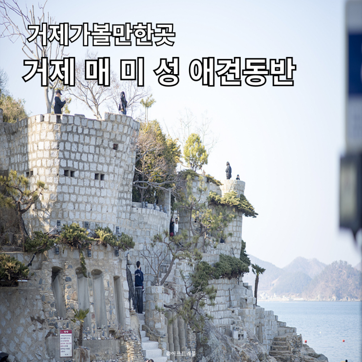  거제 가볼만한곳 매미성 애견 동반 주차 볼거리 야간개장