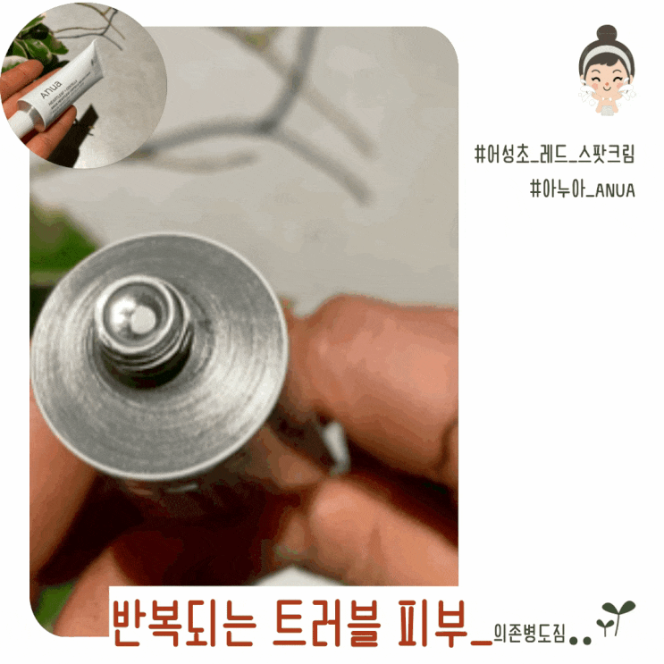  반복되는 트러블 피부 아누아 어성초 센텔라 레드 스팟 크림 의존병 도짐
