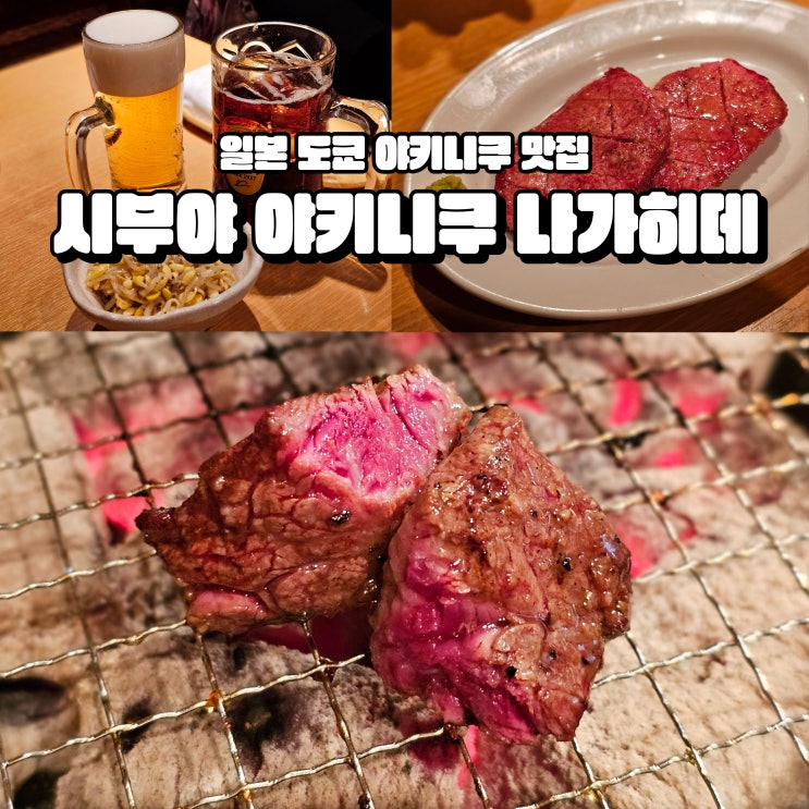  도쿄 시부야 야키니쿠 뜻 일본 나가히데 메뉴 가격