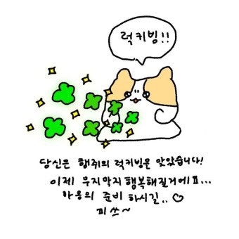 [짤 모음집] 최고심 짤 귀여운 짤 행복 짤 응원 짤 : 네이버 블로그