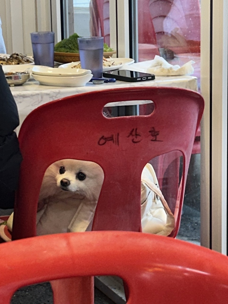 예산호 사진 1