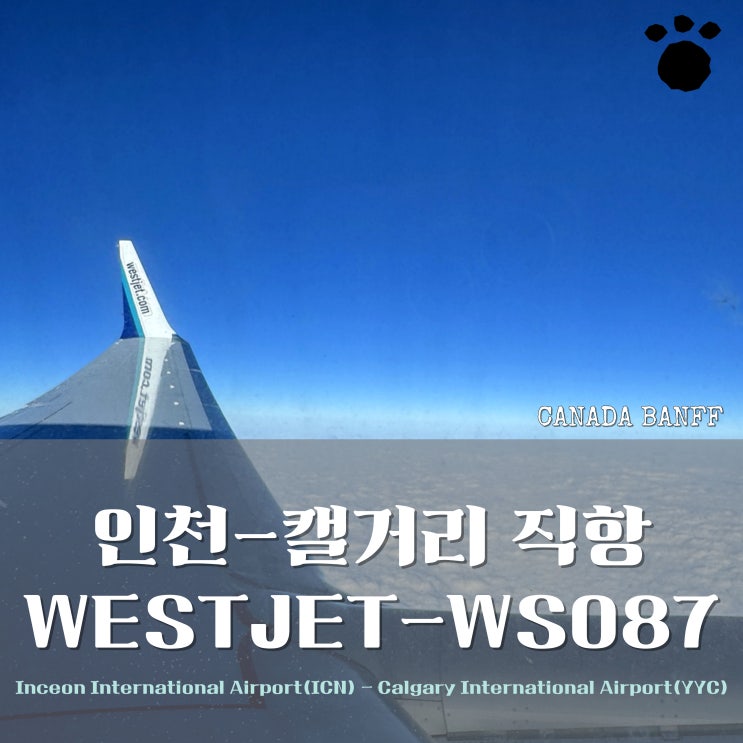  웨스트젯 인천-캘거리 직항 WS087 후기! 프리미엄 이코노미 장단점 총정리