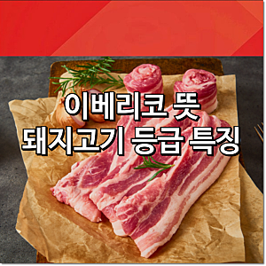 이베리코 뜻 돼지고기 등급과 특징은?