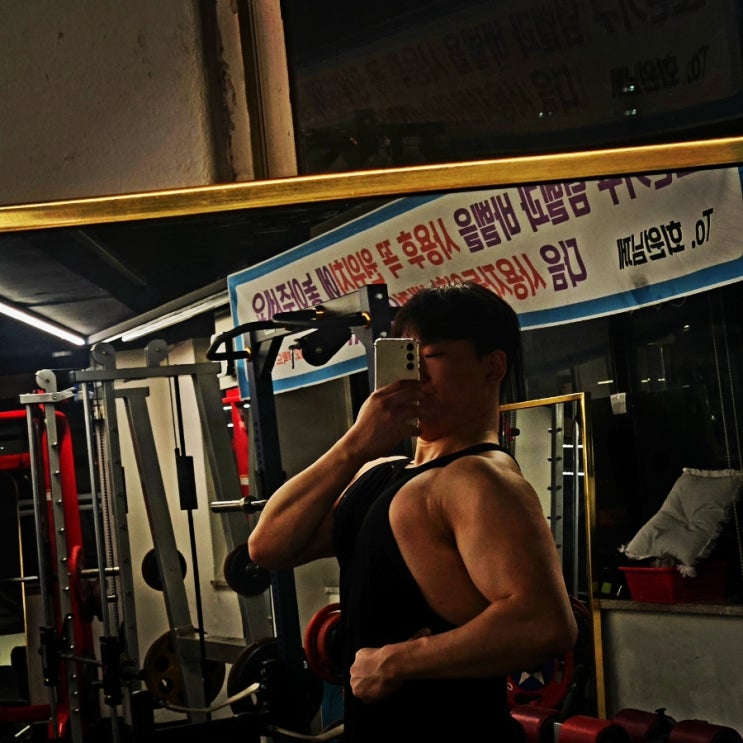 20250306 가슴 어깨 3분할 운동 루틴 20250306 가슴 어깨 3분할 운동 루틴