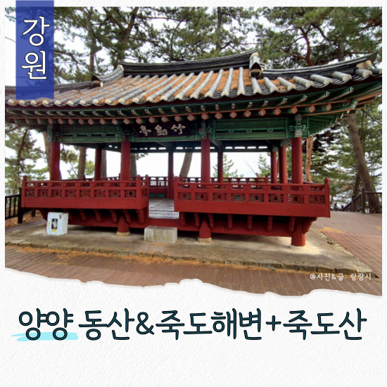 사진 9