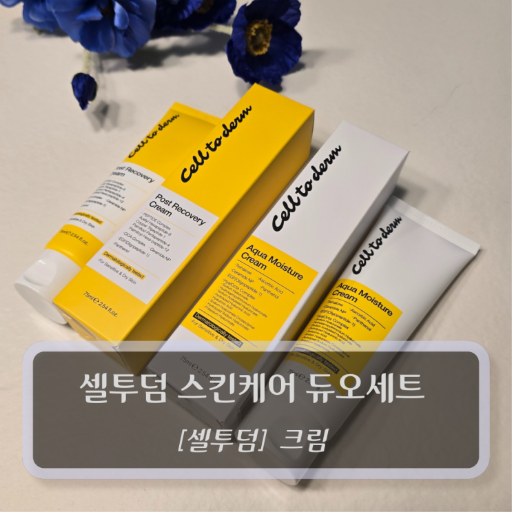  셀투덤 크림 :: 셀트덤 스킨케어듀오세트 구매후기 (포스트 리커버리 크림 & 아쿠아 모이스처 크림)