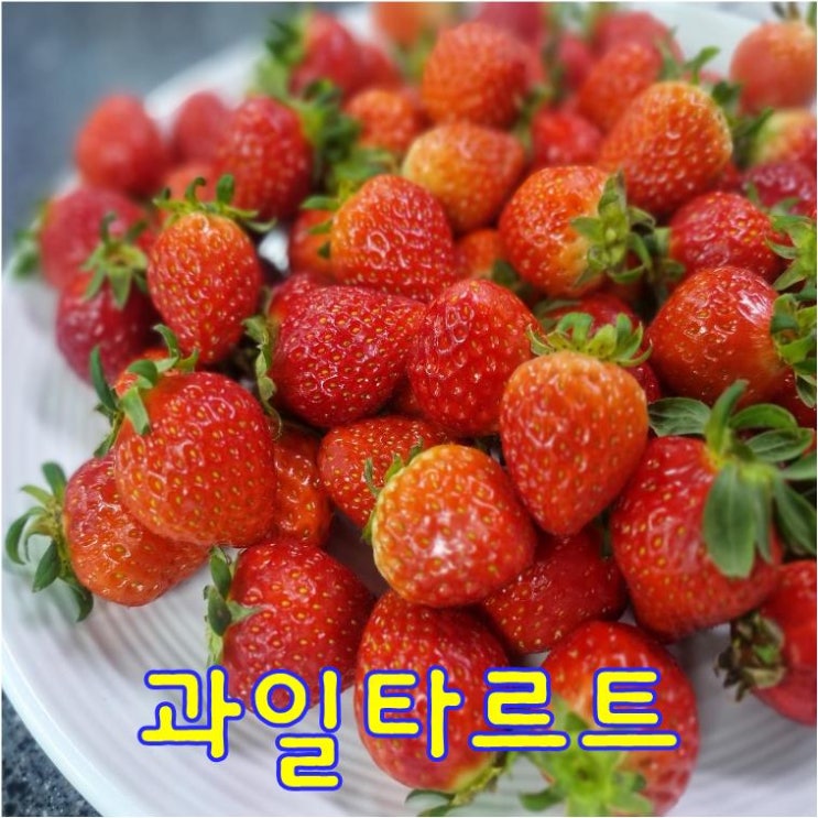  생과일을 올린 과일타르트만들기