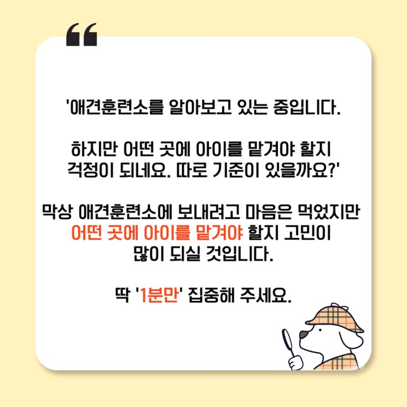 사진 5