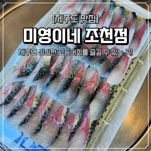  제주도 고등어회 맛집 미영이네 조천점 내돈내산 후기
