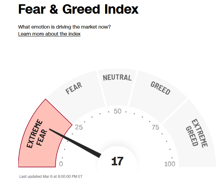  ISA 긴급 추가매수 (공포지수 극한공포 단계 도달 기념)