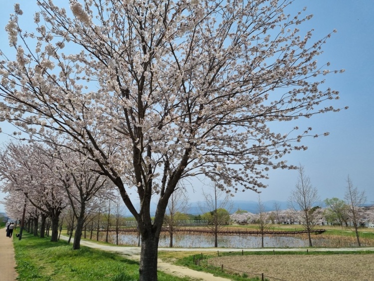 작은골 사진 1