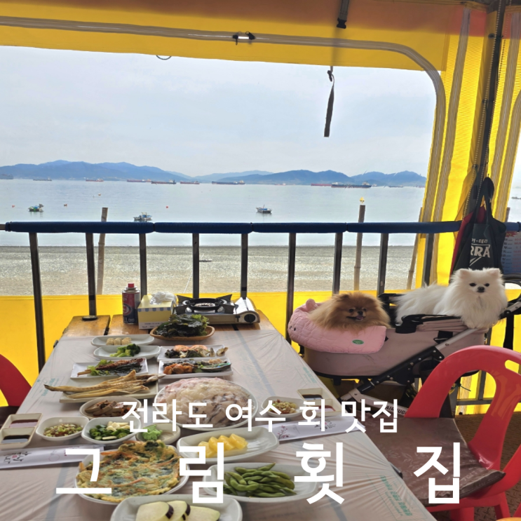  여수회맛집 추천 만성리해변 오션뷰가 멋진 그림횟집 애견동반 후기