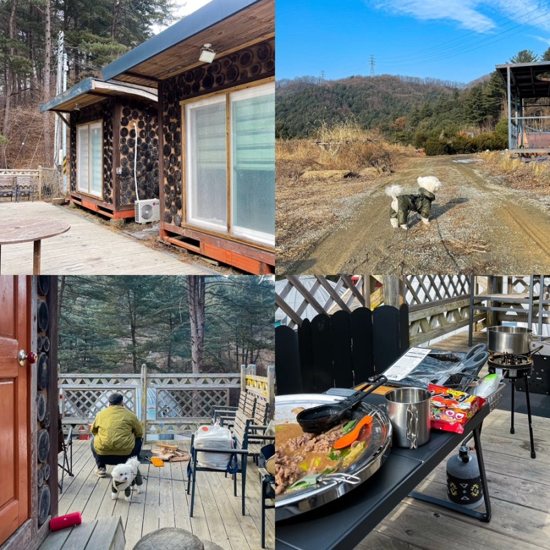 사진 6