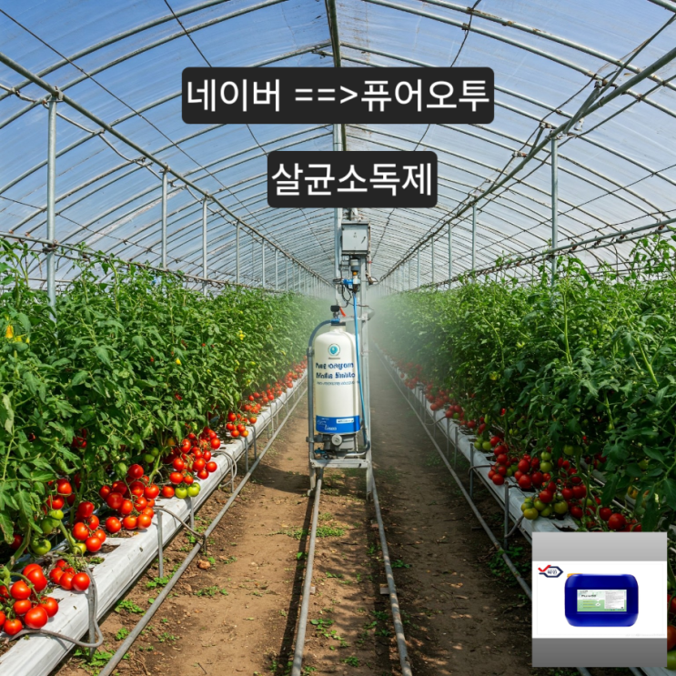  토마토 농장에서 퓨어오투 이산화염소수를 살균소독제로 활용하는 방법과 기대 효과는 다음과 같습니다.