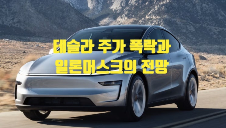 <b>테슬라 주가 폭락</b>과 일론 <b>머스크</b>의 전망: 어디로 향할까?