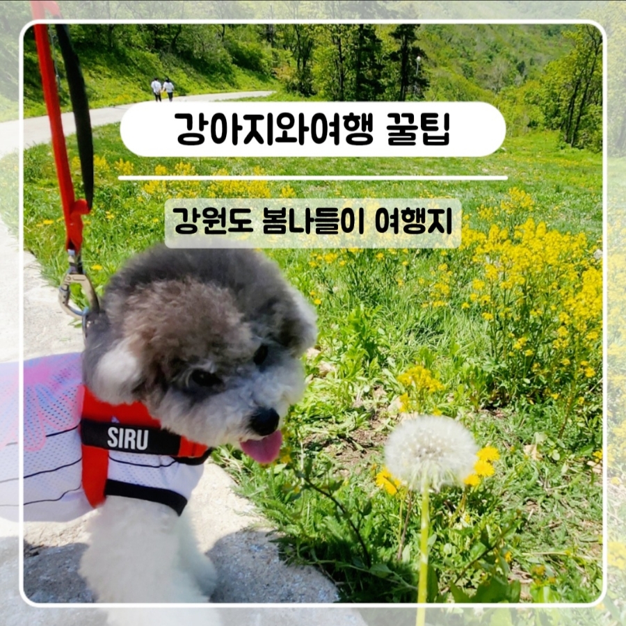 작은골 사진 6