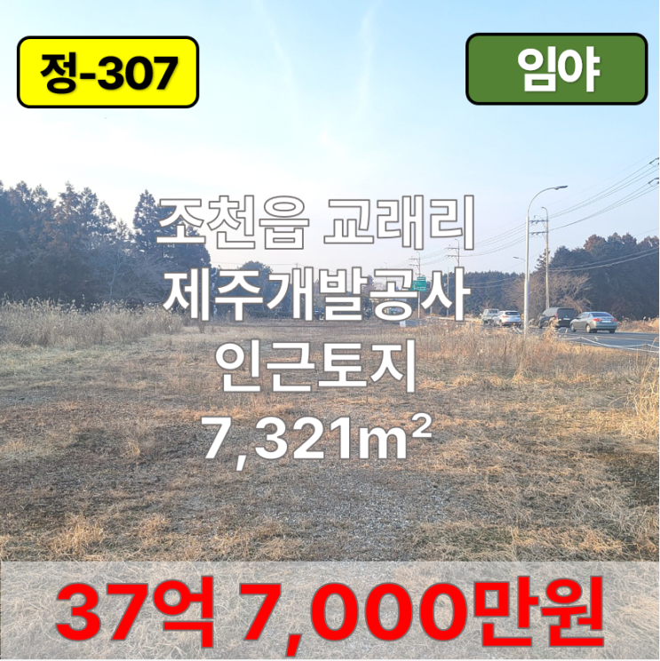  【매매】 조천읍 교래리 제주개발공사 인근토지