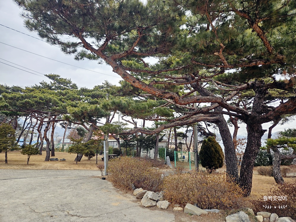고향산촌 사진 2