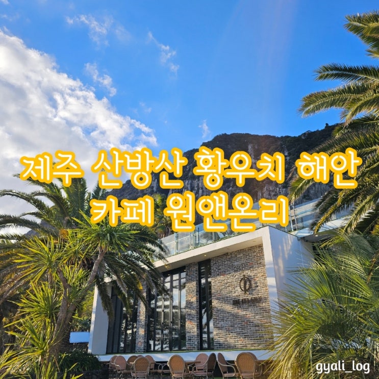 제주도 카페 추천 원앤온리 산방산 오션뷰 카페 & RUSH 매장 제주도 카페 추천 원앤온리 산방산 오션뷰 카페 & RUSH 매장