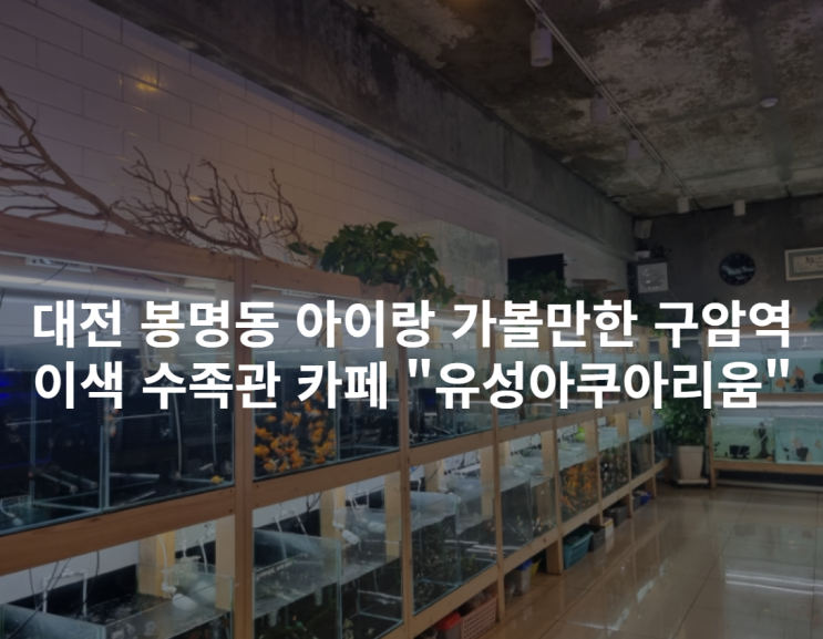 [대전 봉명동] 아이랑 가볼만한 구암역 이색 수족관 카페 "유성아쿠아리움" | 숨은 포토존 소개
