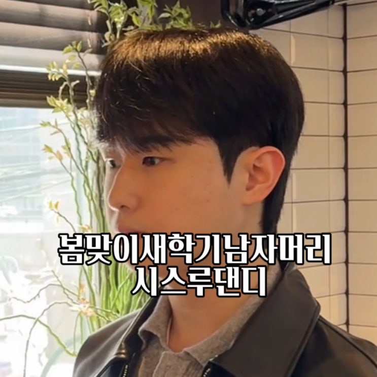  왕십리 미용실 맨드 살롱 왕십리역점 수민 개강맞이 남자 머리 차은우머리 시스루 댄디
