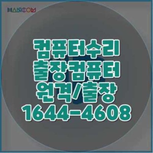  라이노 설치 및 설정: 원격 설치와 출장 서비스의 모든 것