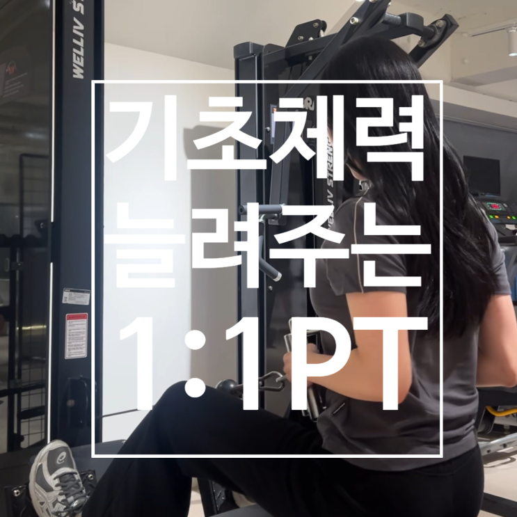  [탄현동 헬스장] 체력고민 직장인 맞춤PT 레디바디 탄현점에서!