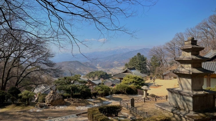  [국내여행/영주 뚜벅이 여행] 부석사 대중교통으로 다녀온 후기