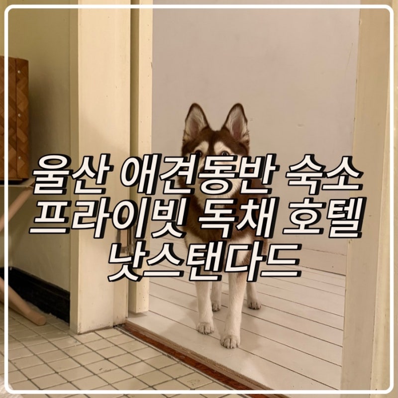 사진 2