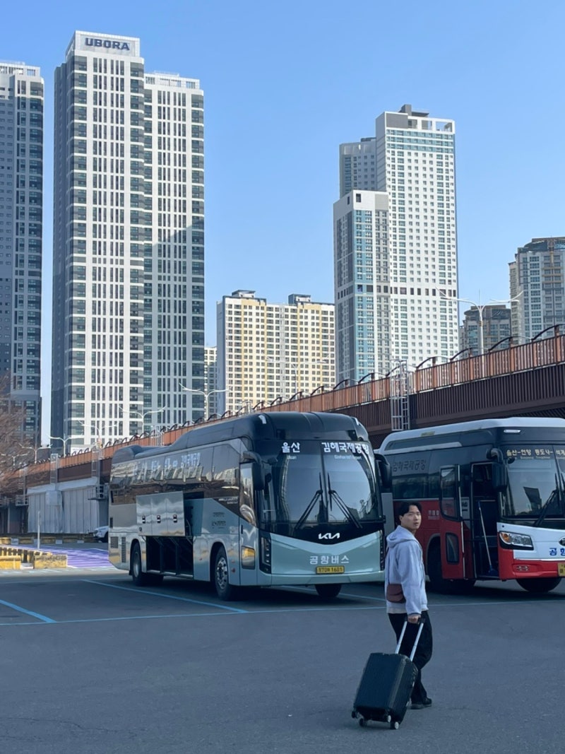 울산 태화강 공항버스 태화로터리 정류소 , 울산 > 김해공항 ✈️ 버스 시간표 ( 25.3월 기준)
