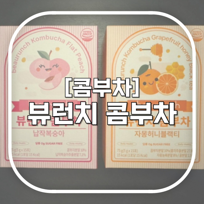  뷰런치 콤부차 / 먹어본 중에 제일 맛있는 콤부차 추천 / 납작복숭아맛, 자허블맛 맛도리