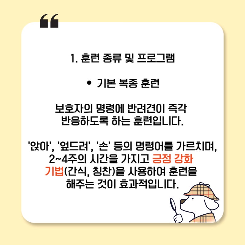 사진 6