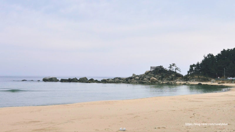 사진 10